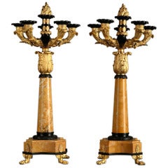 Pair of Five Light Candelabras in Gilt and Patinated Bronze 