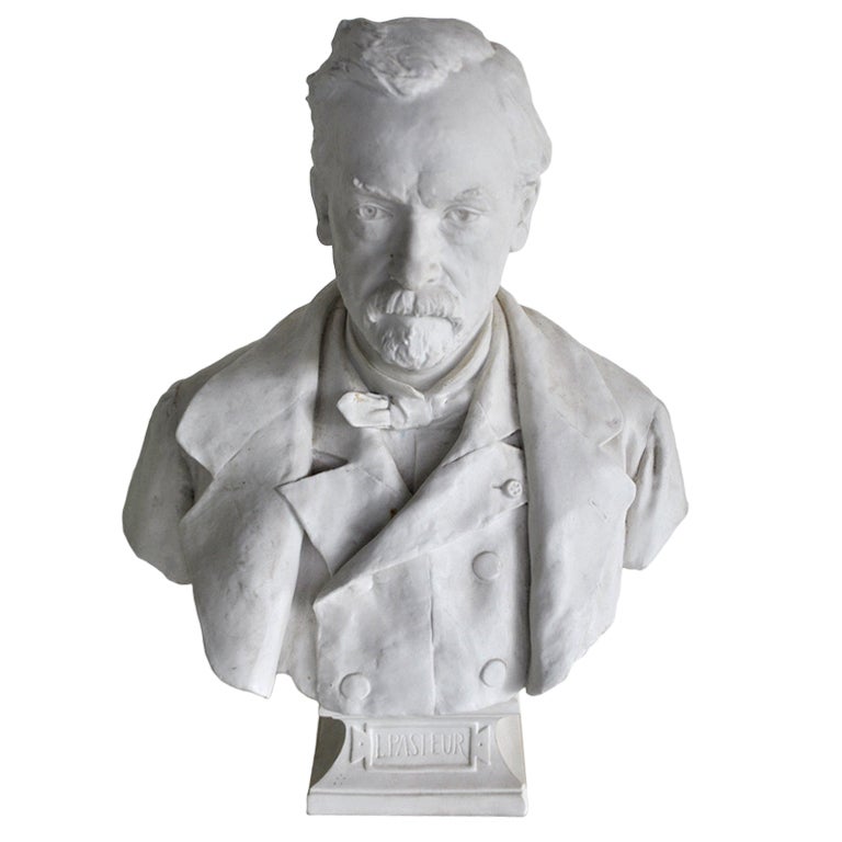 Sevres biscuit porcelain bust of Louis Pasteur For Sale
