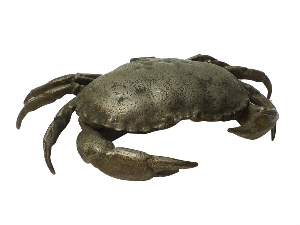 large crab with storage