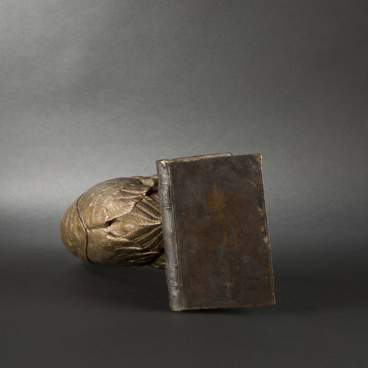 Franz Xavier Bergmann, Owl Resting on a Book in Bronze For Sale 1