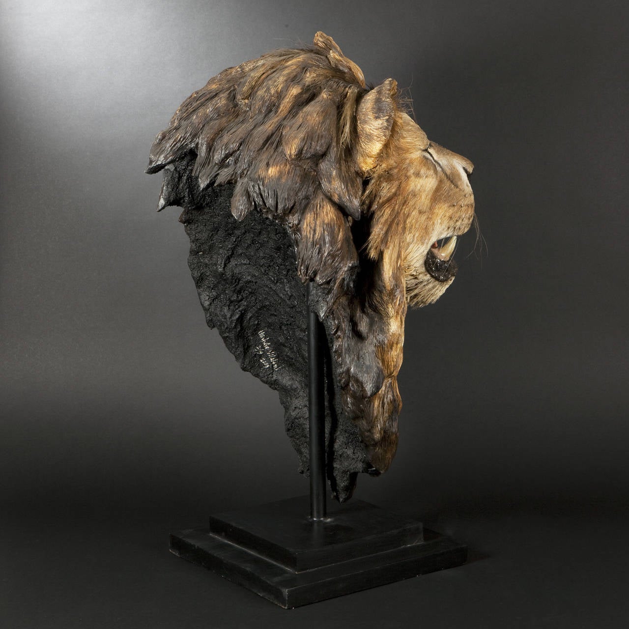 Michèle Vitaloni "Léone, " Resin Wood Sculpture
