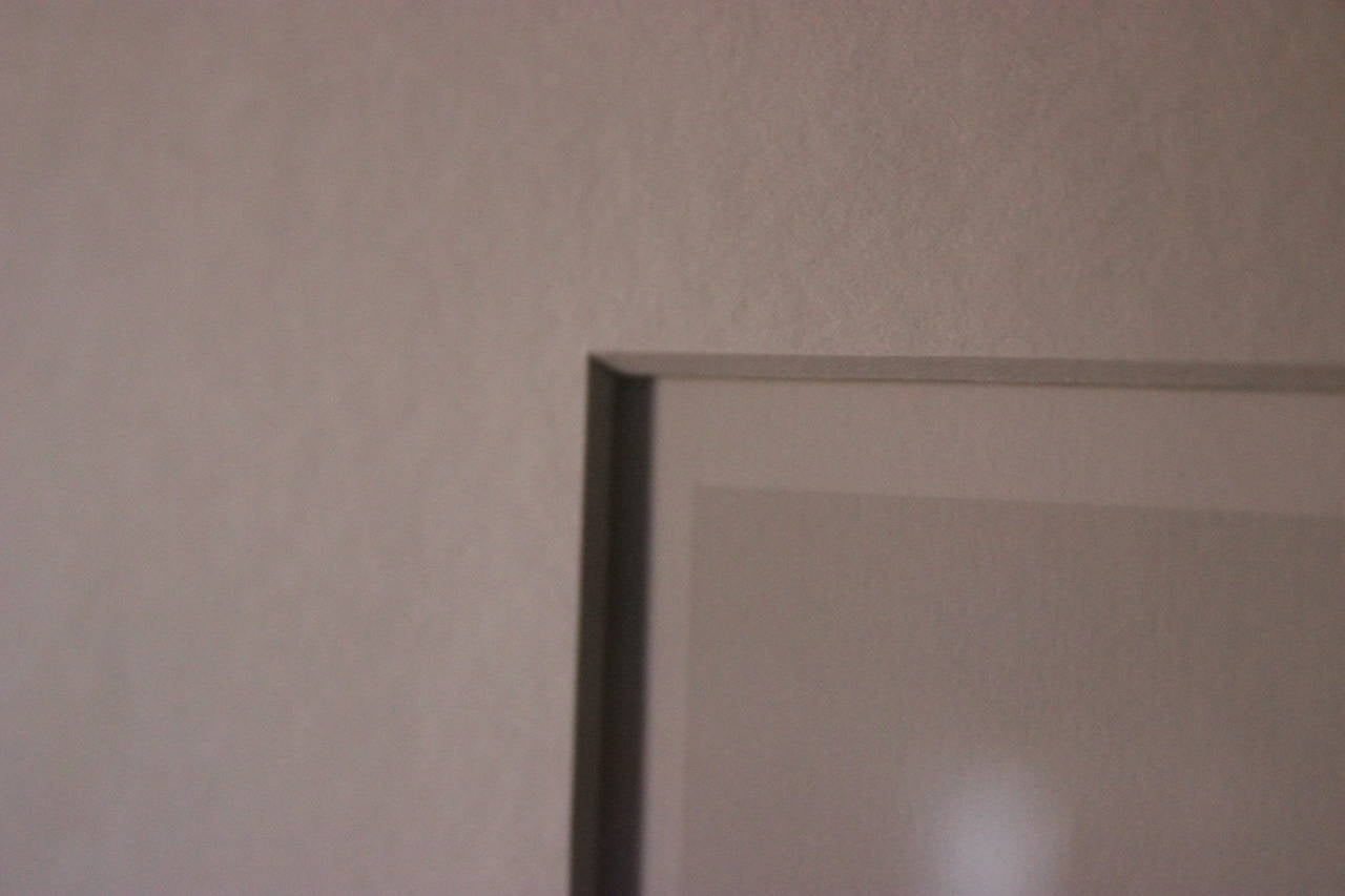 Christo et Jeanne-Claude Imprimé ultrachrome en vente 2