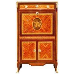 French Tulipwood Amaranth and Marquetry Louis XVI Secretaire À Abattant