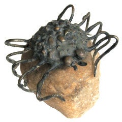 Bronze Spider Paperweight