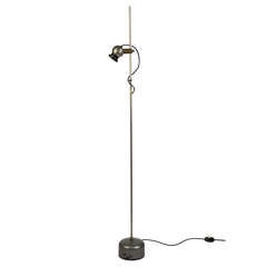 Rare Angelo Lelli Floor Lamp 12