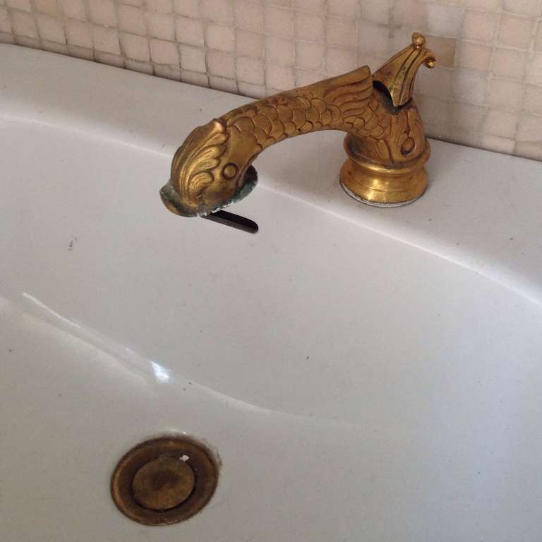 Washstand Mushroom Sig.: 