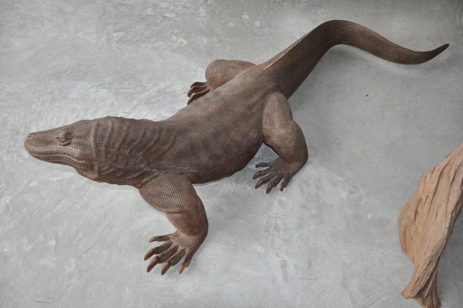 Beautifully Sculpted One-Piece Wood Lizard For Sale