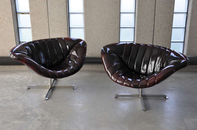 Two Beautiful Shiny Rohe 