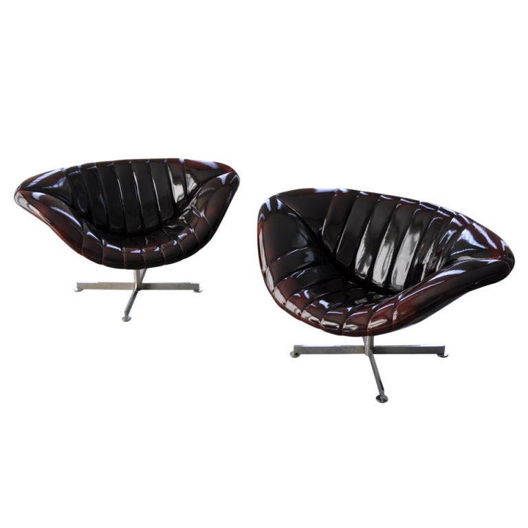 Modern Two Beautiful Shiny Rohe 