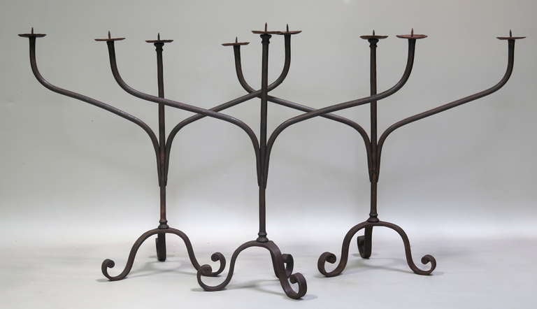 Three wide-armed and elegant wrought-iron candleholders. Tripod base, scrolling outwards. Of quite large size.

Can be purchased separately.