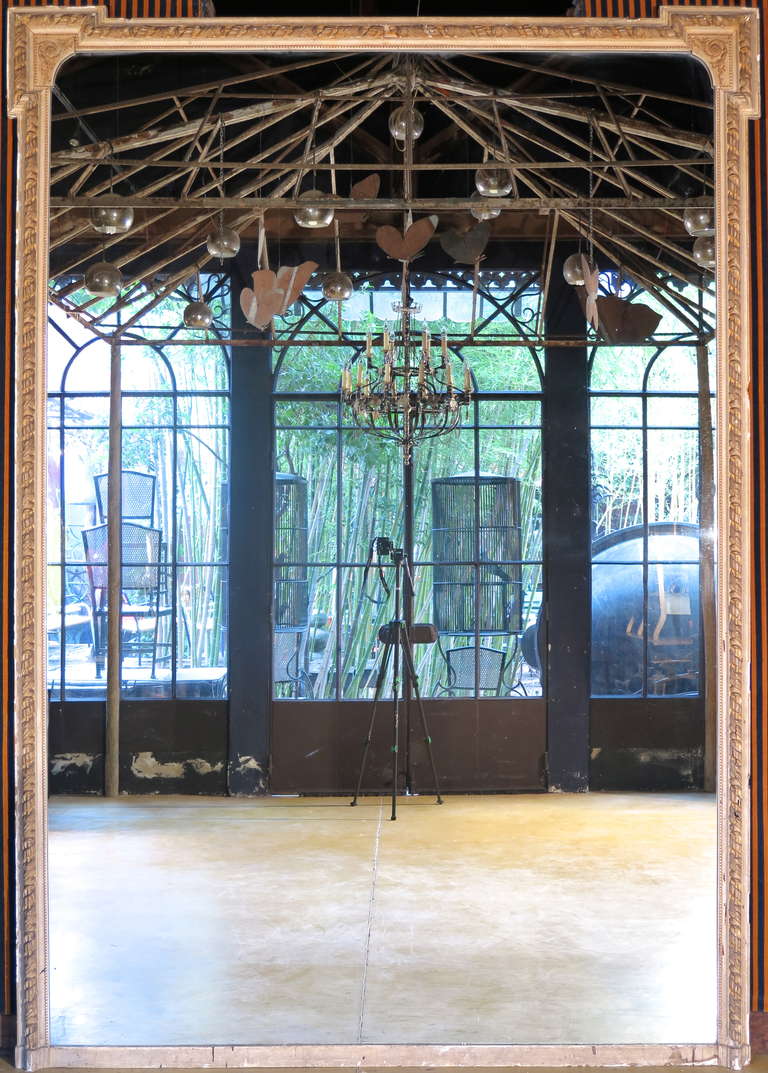 Incroyablement grand et rare miroir original en verre à plaque de mercure, en une seule pièce, avec un cadre en plâtre moulé.