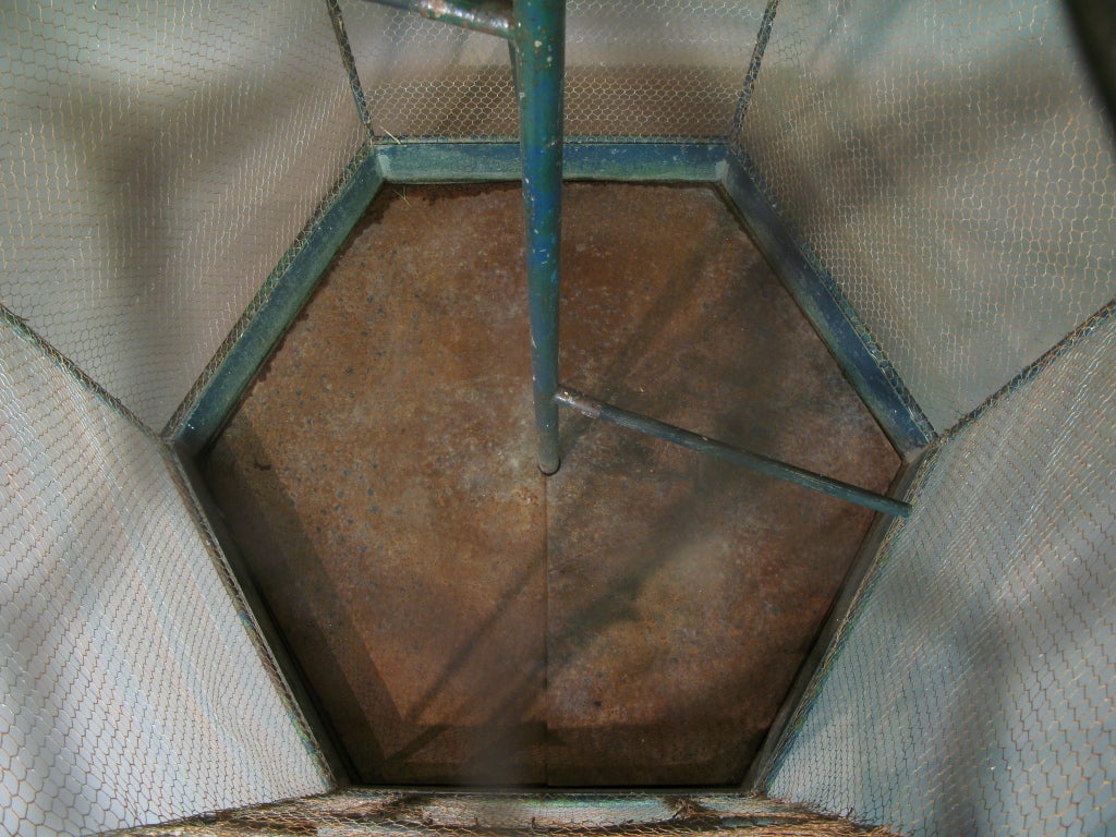 Very Large 19th Century French Aviary 4