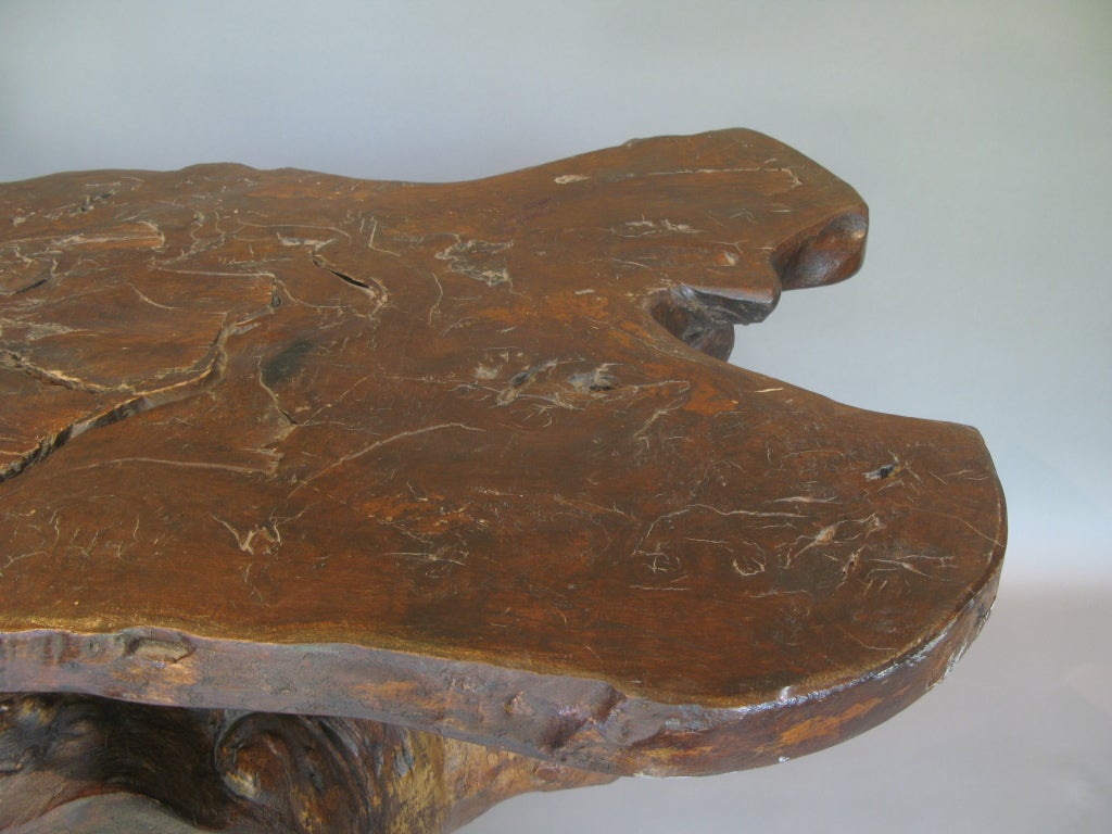 French Burl Root Slab Side Table