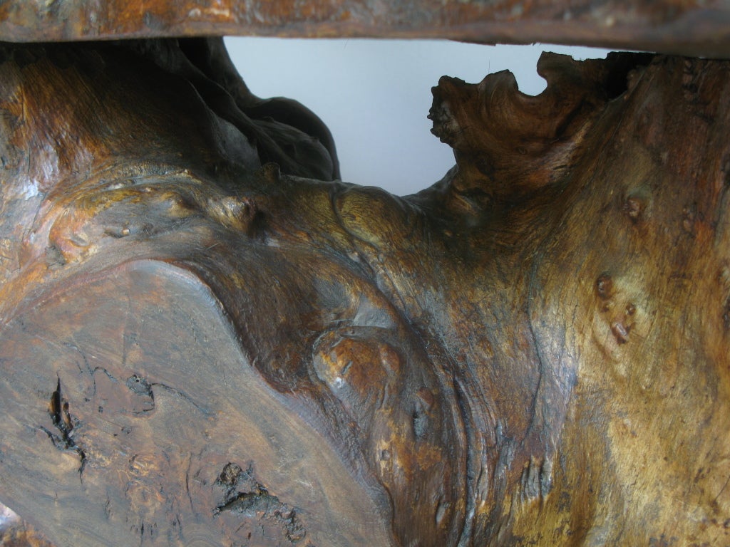 20th Century Burl Root Slab Side Table