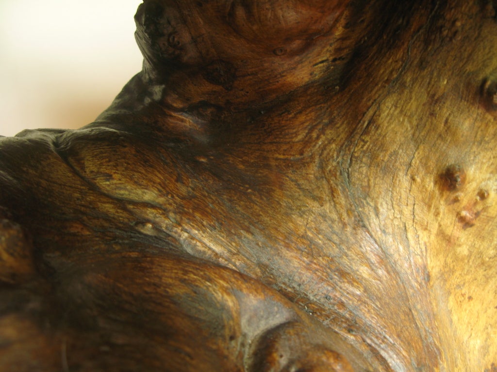 Burl Root Slab Side Table 1