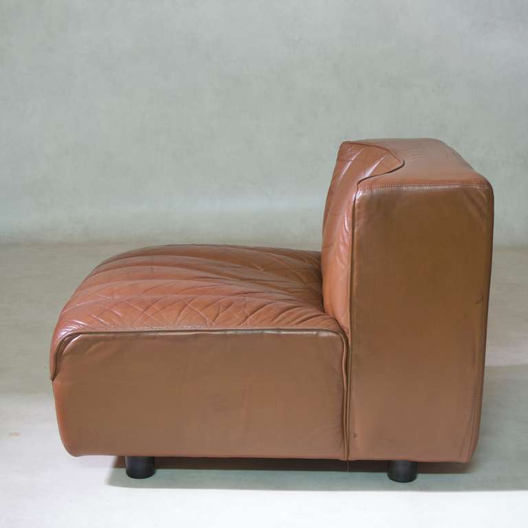 Mid-20th Century Tito Agnoli for Mobilier International, Modular Sofa in Leather, 1969
