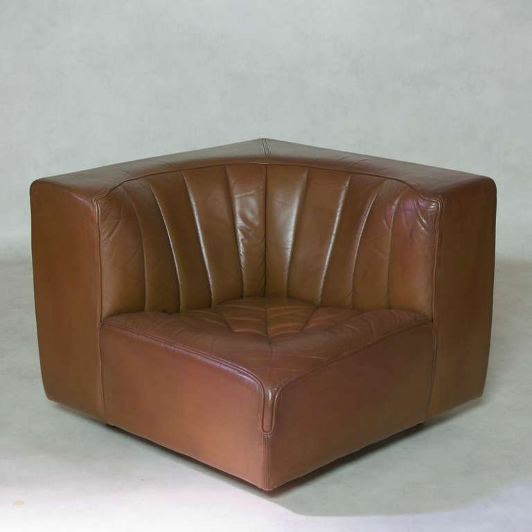 Modern Tito Agnoli for Mobilier International, Modular Sofa in Leather, 1969