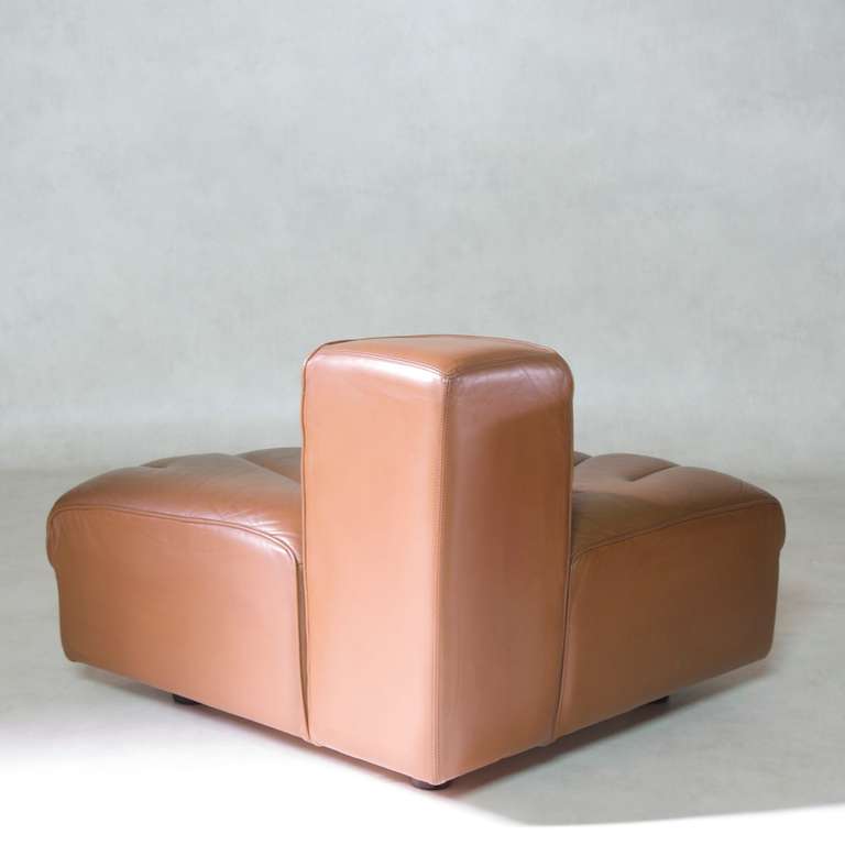 Tito Agnoli for Mobilier International, Modular Sofa in Leather, 1969 2