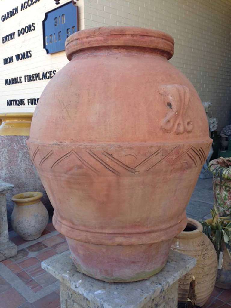 Here we have a beautiful pair of Spanish terra cotta olive jars.