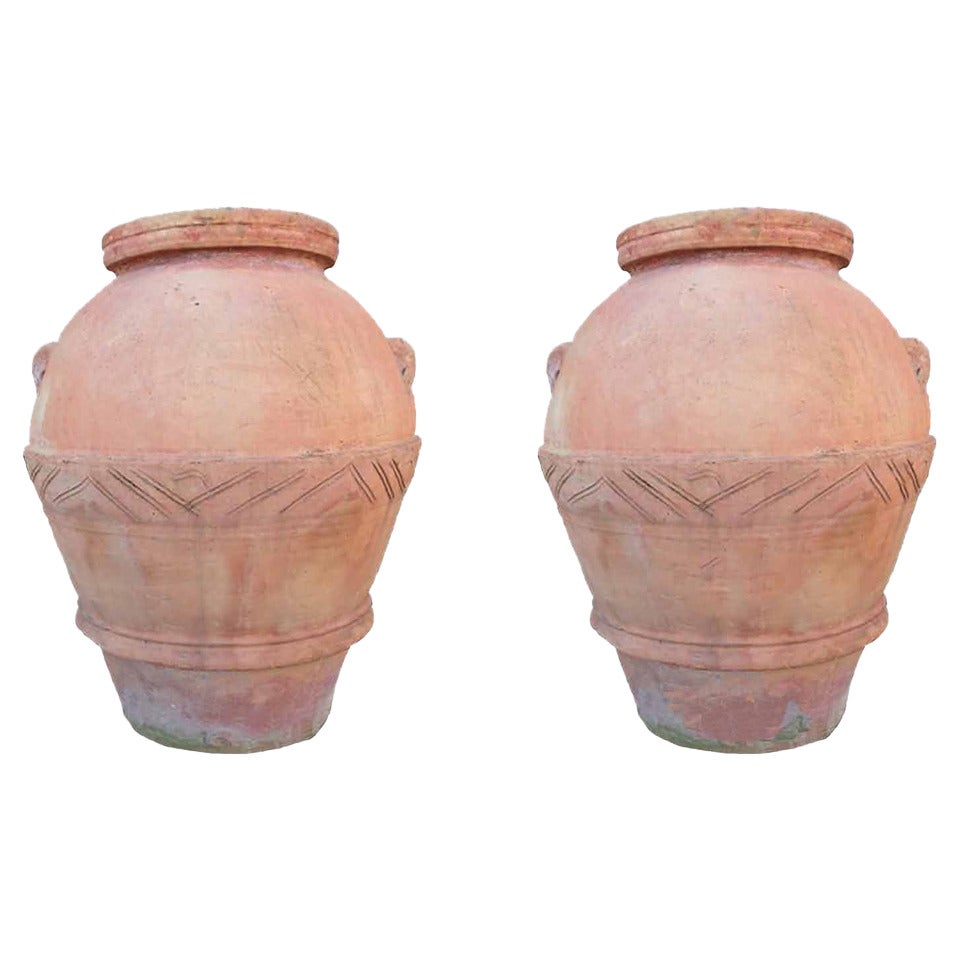 Circa 1890 Pair of Terra Cotta Olive Jar