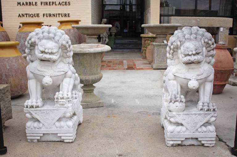 white marble foo dogs