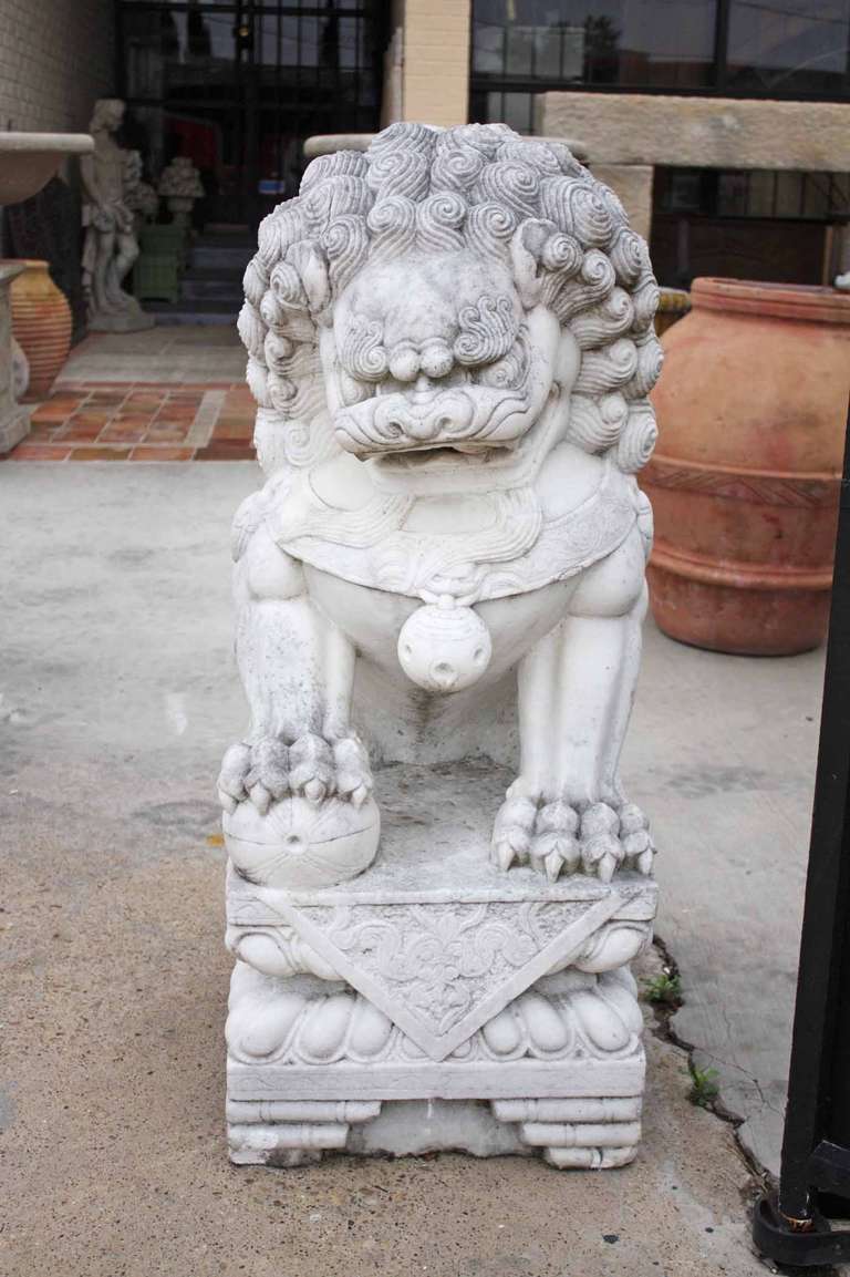 marble foo dog statues