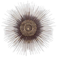 Tantalizing Brass Sunburst Wall Sculpture Tantalizing Brass Sunburst Wall Sculpture