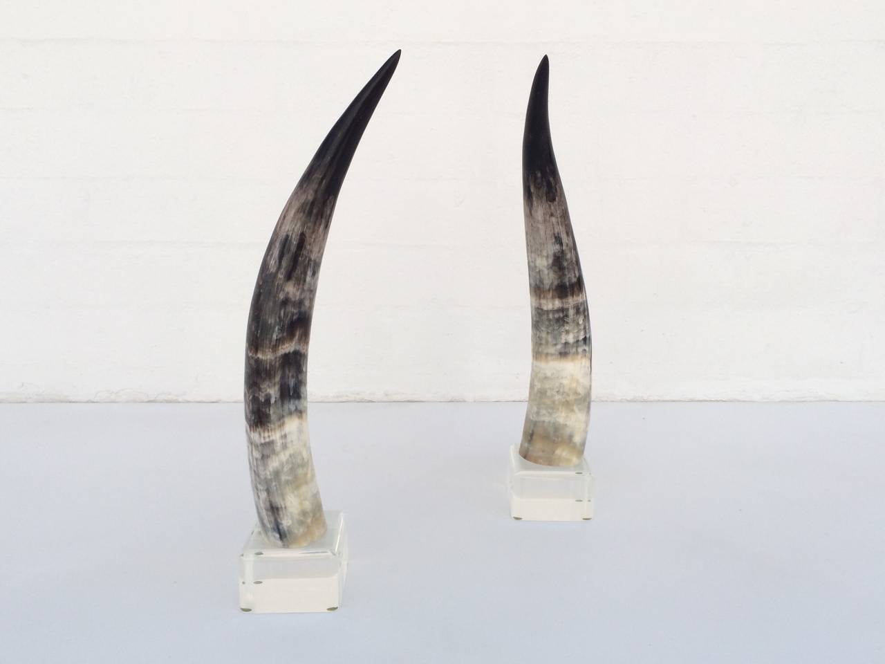 Late 20th Century Pair of Mounted Steer Horns on Acrylic Bases