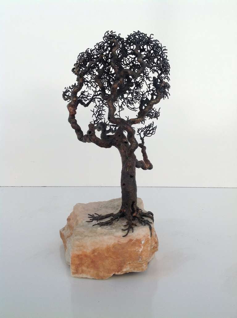 Bronze Monterey Cypress Tree Sculpture (signed Webb) In Excellent Condition In Palm Springs, CA