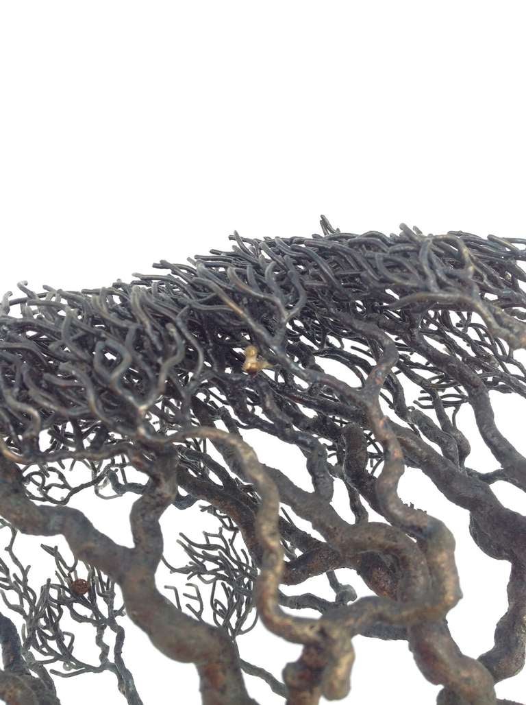 Mid-20th Century Bronze Monterey Cypress Tree Sculpture (signed Webb)