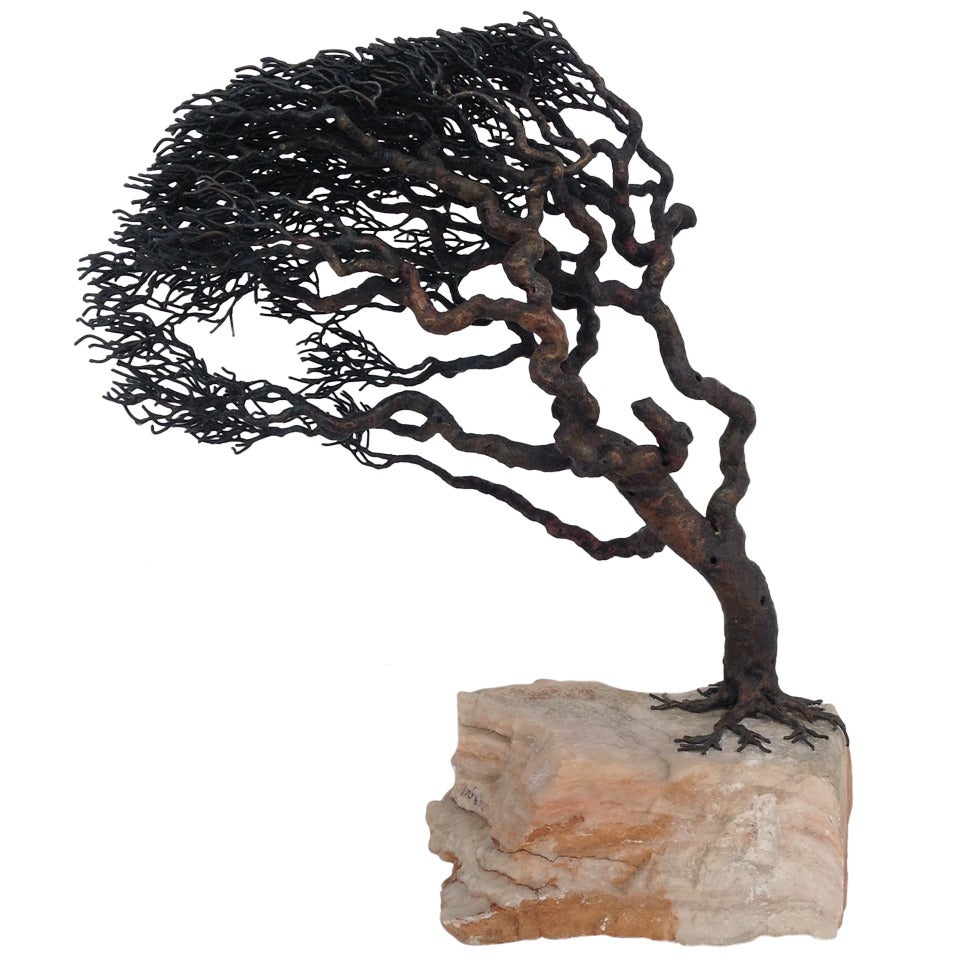 Bronze Monterey Cypress Tree Sculpture (signed Webb)