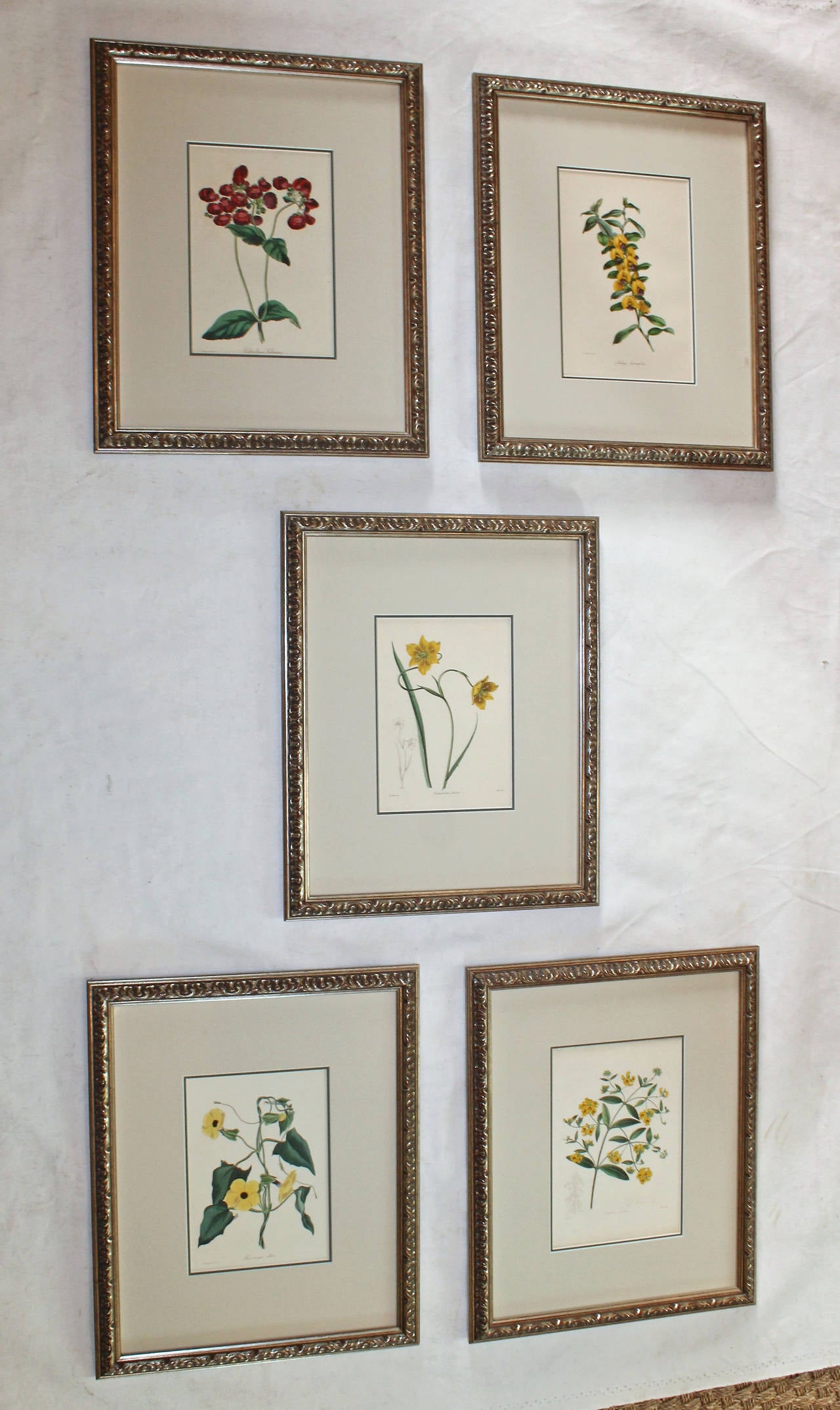 English Set of Five 19th Century Colored Flower Engravings