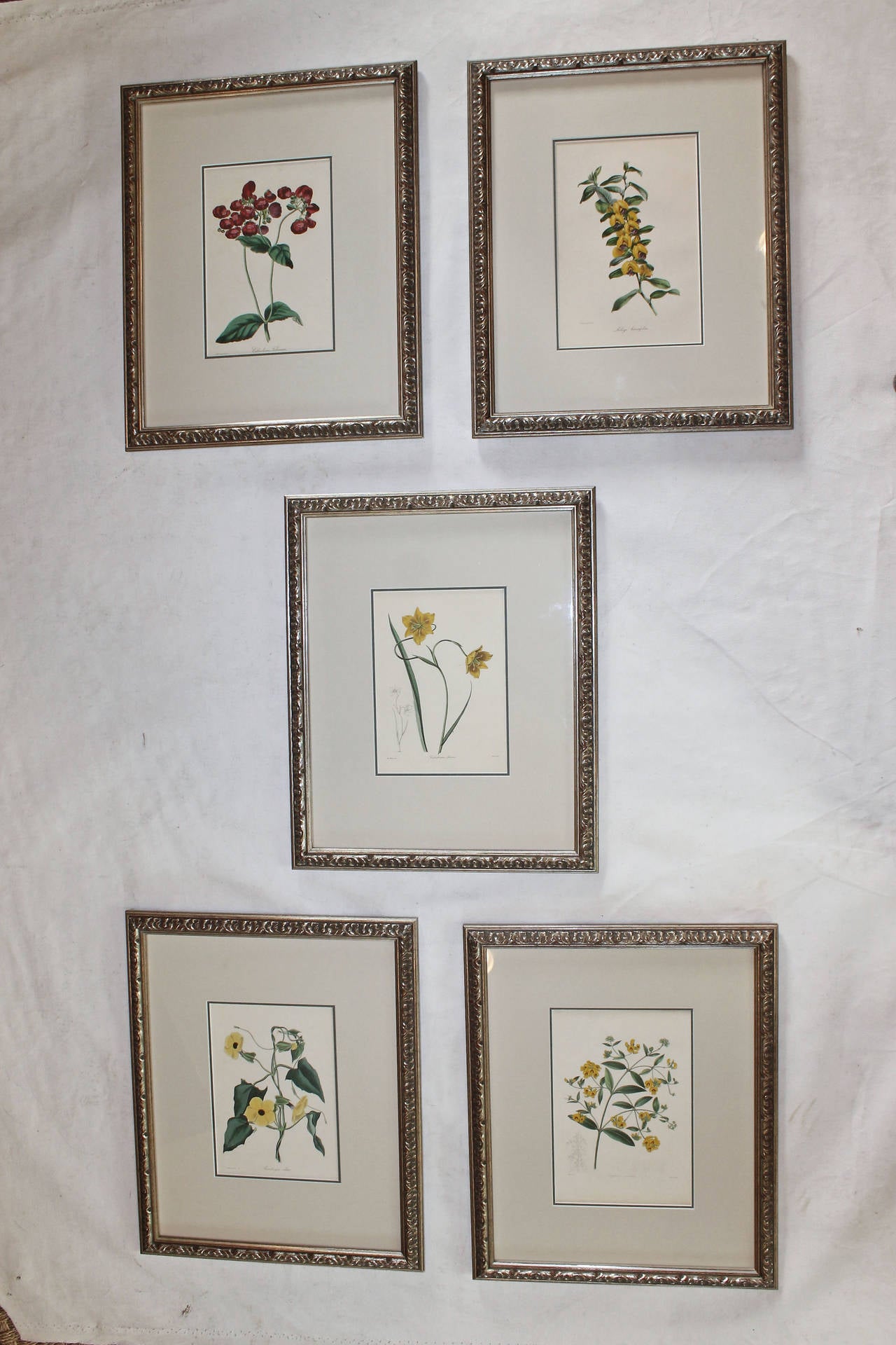 Set of Five 19th Century Colored Flower Engravings 4