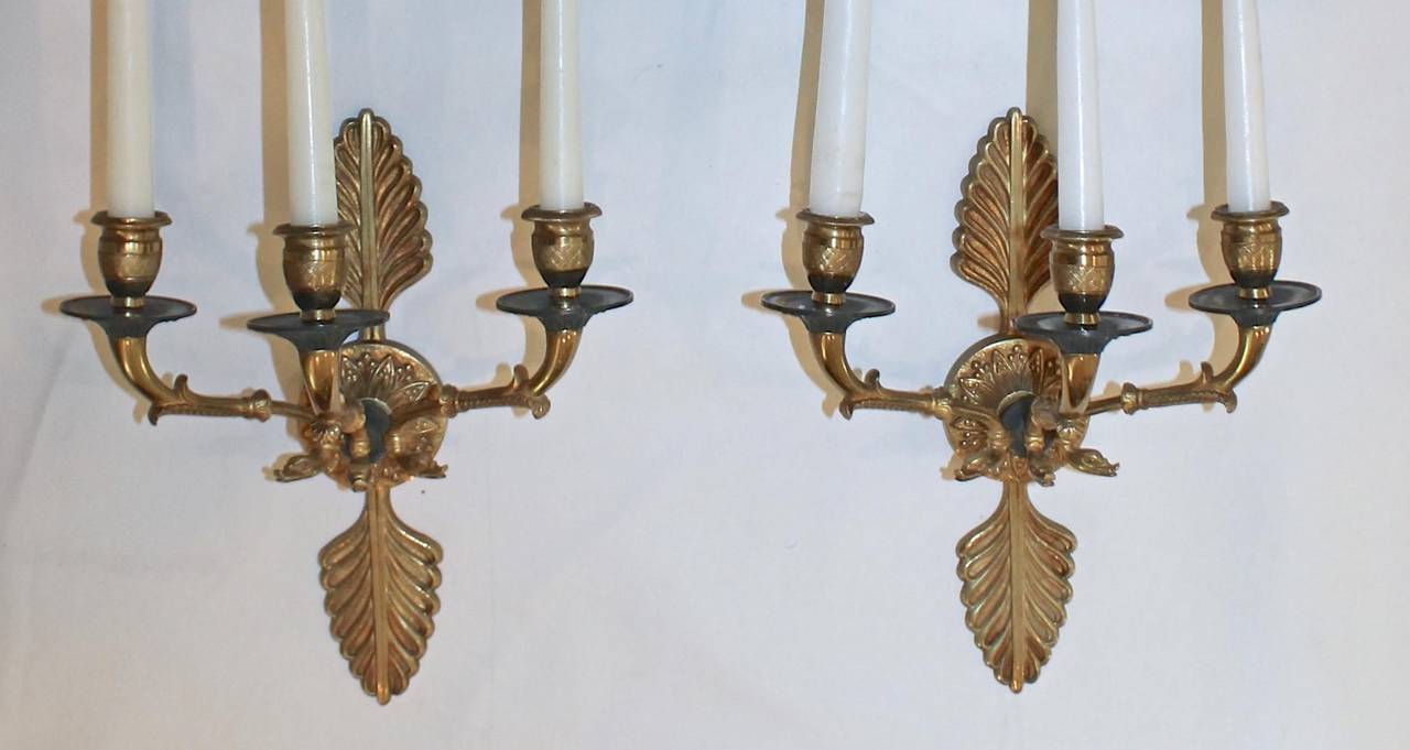 Fine pair of French Empire doré gilt and patinated wall sconces with 3 candle cups and serpent detailing. Expertly crafted. Not electrified.
