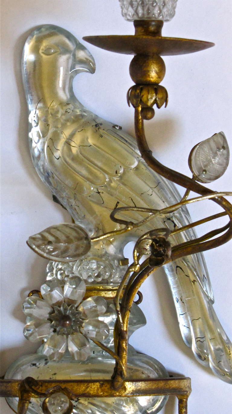 Single Bagues Style Parrot Motif Wall Sconce In Excellent Condition In Palm Springs, CA