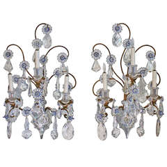 Huge Pair of Bagues Style Crystal Gilt Sconces