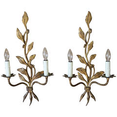 Pair of Maison Baguès French Gilt Iron Leaf Sconces