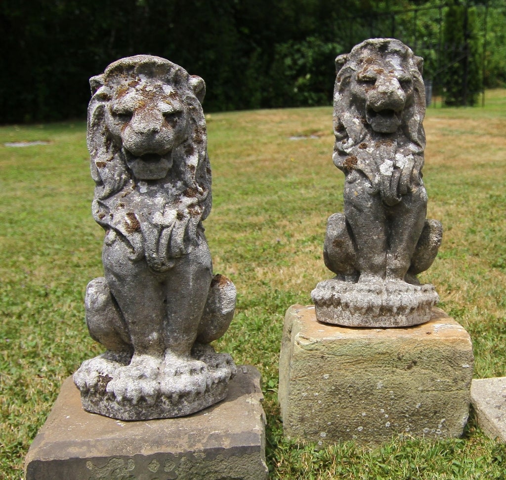 Cast Limestone Lions.  They are a majestic pair with a beautiful mossy patina.