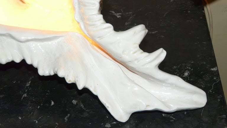 Shell Ceramic Lamp.