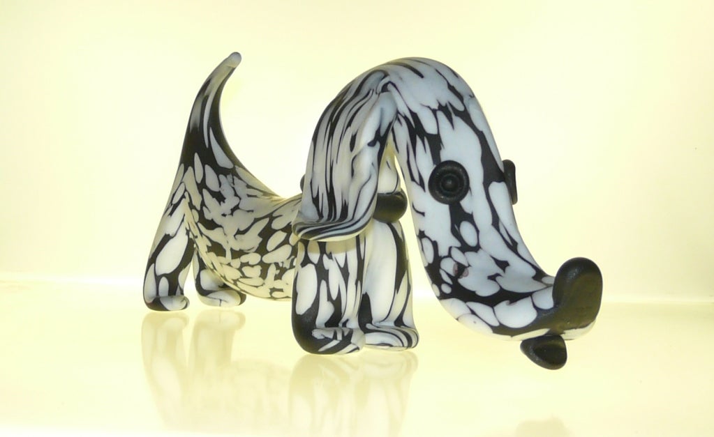 Very attractive large figurine of a Murano glass dog.Fantasia bianca nera by Archimede Seguso .