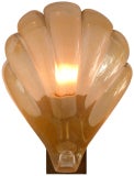Gold Shell Murano Sconce