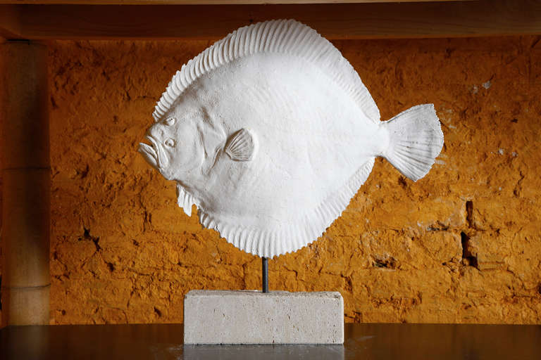 Collection of 10 Plaster North Sea Fish on a Limestone Base In Excellent Condition In Sint-Kruis, BE