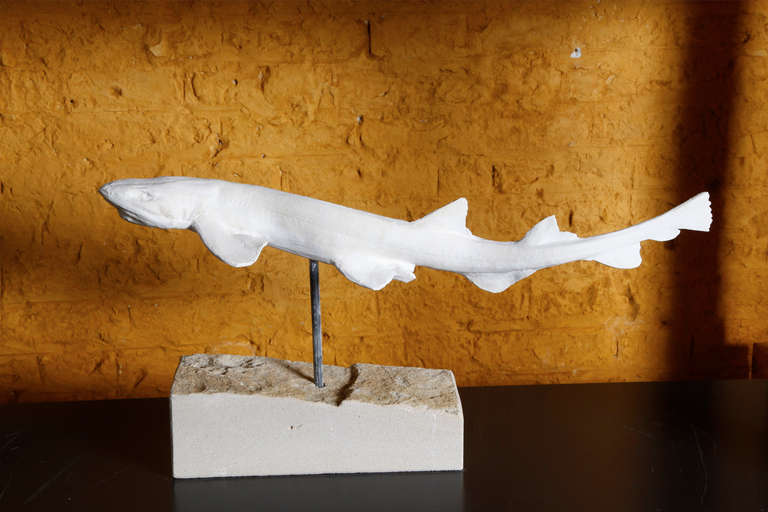 Mid-20th Century Collection of 10 Plaster North Sea Fish on a Limestone Base