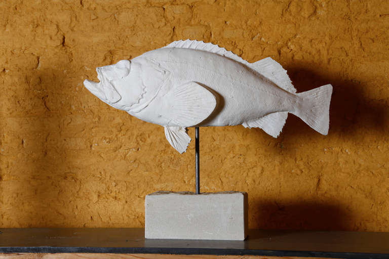 Collection of 10 Plaster North Sea Fish on a Limestone Base 3