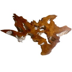 exotic root coffee table