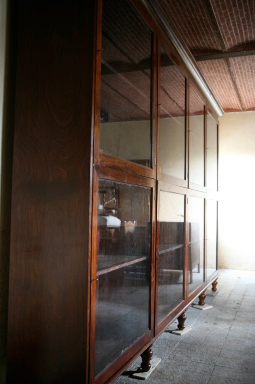 Extremely large and elegant Italian mahogany display cabinet, painted interior