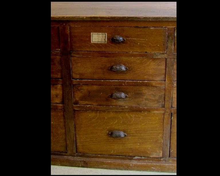 Beech Two Drawer Units from Seed Shop, Circa 1900