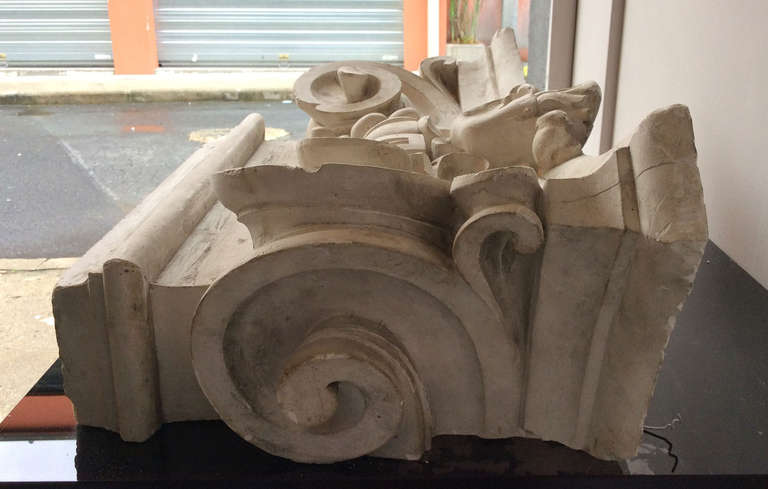 19th Century Ionic capital in plaster, France end of the XIXth century