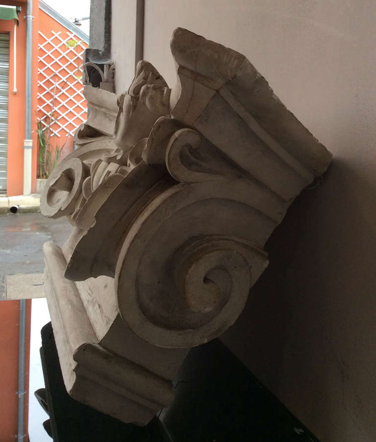 Plaster Ionic capital in plaster, France end of the XIXth century