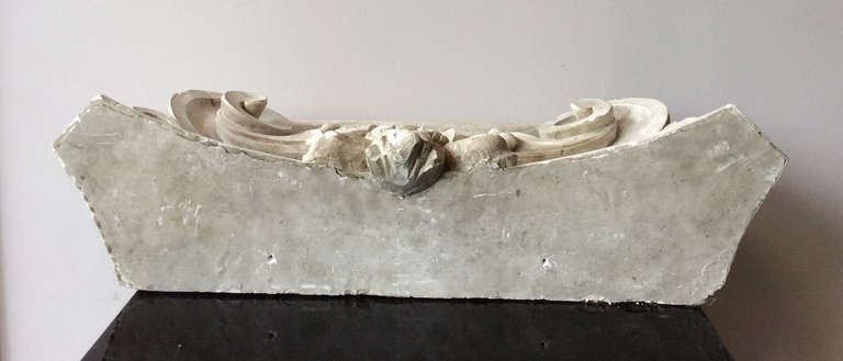 Ionic capital in plaster, France end of the XIXth century 3